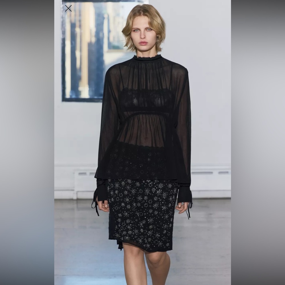 ZARA COLLECTION BEADED EMBROIDERY SKIRT